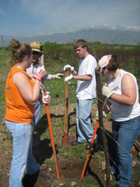 On the worksite: Andrea Nehus (UCA), Dc. Richard Papini, Matt Lindsey (Hendrix), and Nicole Burgener (UCA